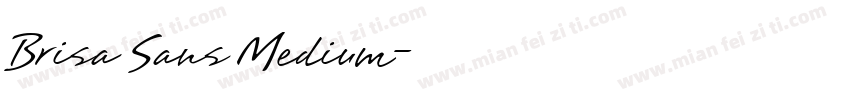 Brisa Sans Medium字体转换
